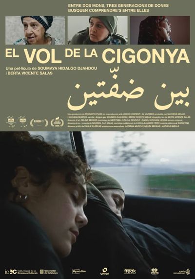 El vol de la cigonya