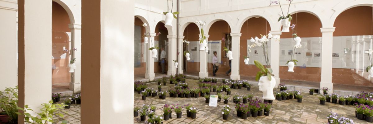 Museu d'Història 