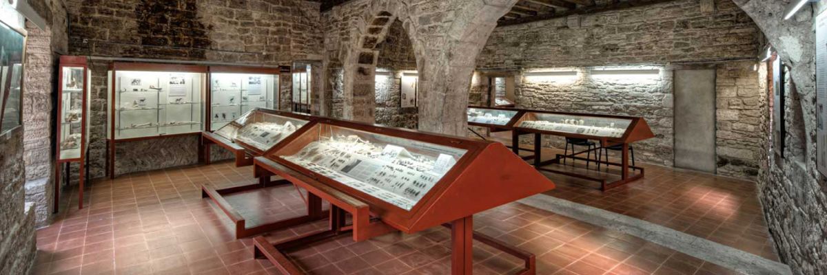 Museu Arqueològic de Banyoles
