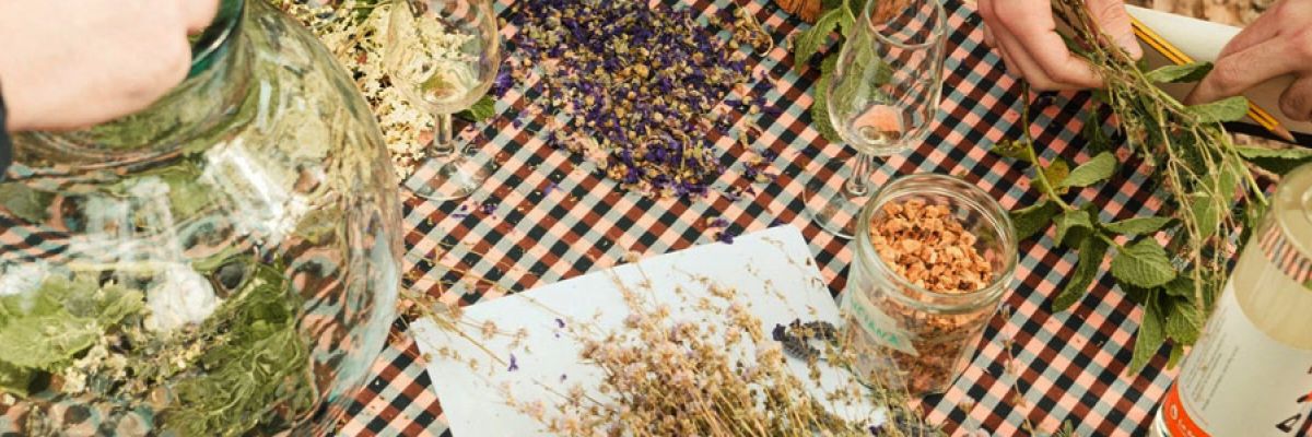 Taller de ratafia amb La Sobirana Cooperativa