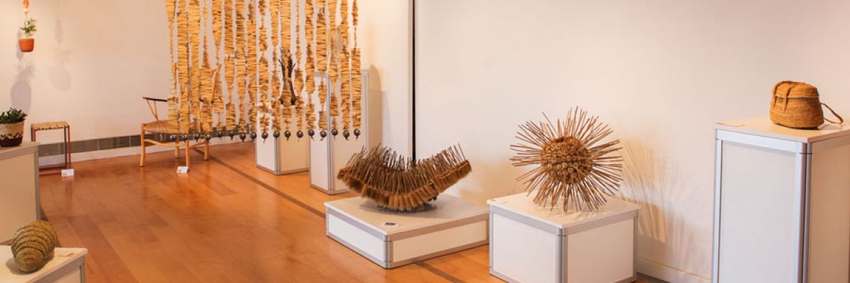 Museu de la Pauma del Mas de Barberans