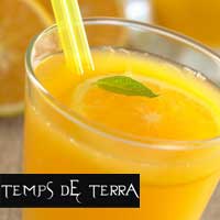 Suc Natural - Temps de Terra