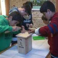 Taller de construcció de caixes niu Taller de construcció de caixes niu