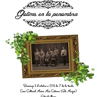 'Gotims en la penombra' 'Gotims en la penombra'