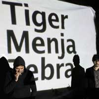 Tiger Menja Zebra