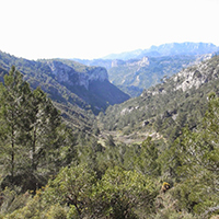 Excursió Tivissa