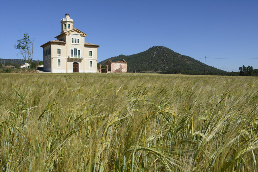Torre Lluvià
