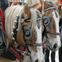 Els Tres Tombs 