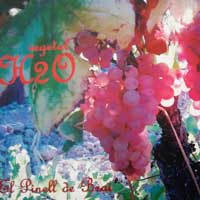 Vegetal H20 - El Pinell de Brai