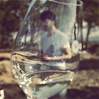 Vins i visita