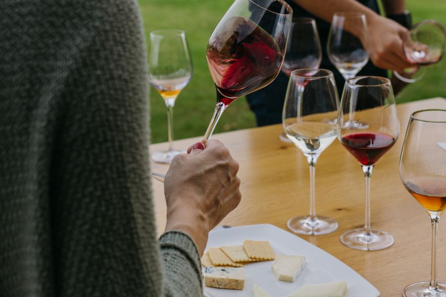 Maridatge de vins i formatges Família Torres