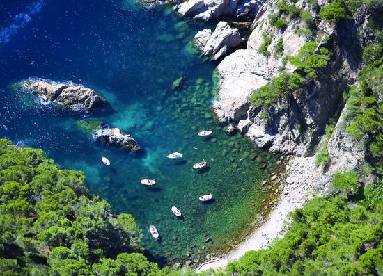 Cala del Cau, Tamariu