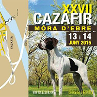 XXVII Cazafir