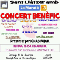 Concert benèfic per La Marató de Tv3 - Tortosa 