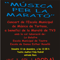 Concert La Marató Tortosa