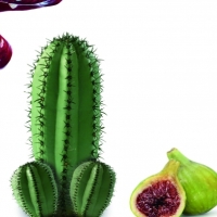 els fruits de la passió