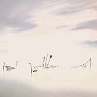 XXè Concurs de Fotografia de la Terra Alta