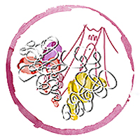 Festa del vi català