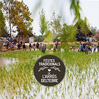 Festes tradicionals de l'arròs 