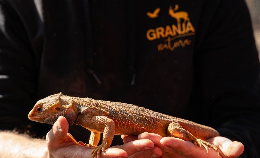 Granja Natura Navàs