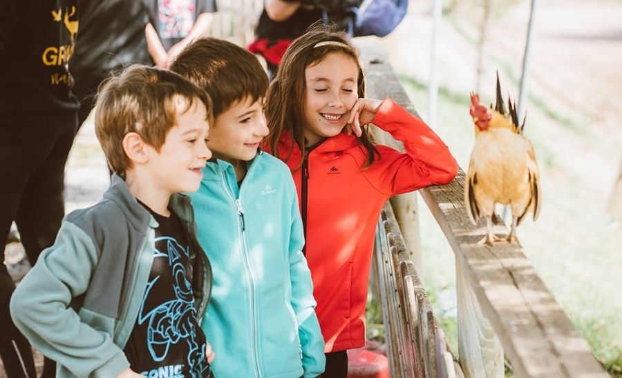 Granja Natura Navàs