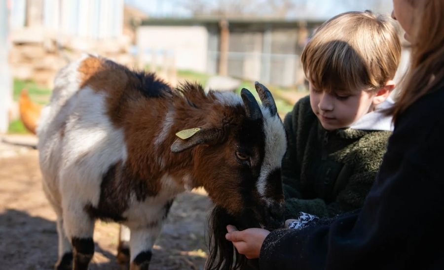 Granja Natura Navàs