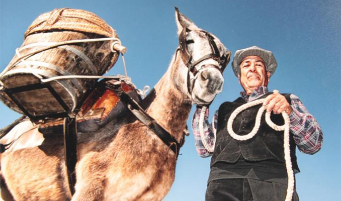 Festa dels Traginers de Balsareny