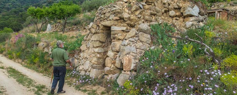 Detall de la ruta 'Les barraques de Vallbona d'Anoia' | Font: Natura Local
