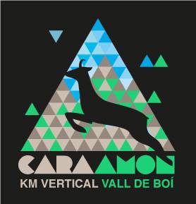 El logotip cursa vertical de la Vall de Boí