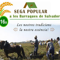 16a Sega popular a les Barraques de Salvador - Deltebre 2016
