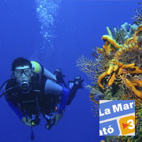 Submarinisme, Fernando Alvarez