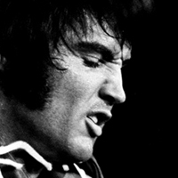 Tribut a Elvis Presley, per Jordi Arkano