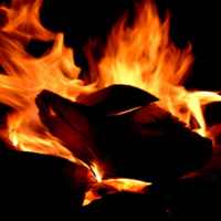 'Marxa de les Cinc Mil Canes'