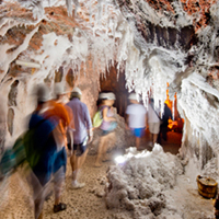 Acte d'entrega del distintiu SICTED i el Segell UNESCO de turisme