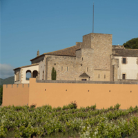 Visita al castell i el castell Oller del Mas