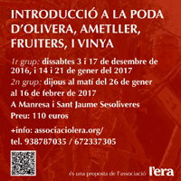 Curs 'Introducció a la poda d'olivera, ametller, fruiters i vinya'