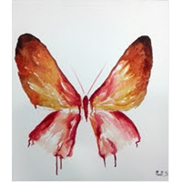 Exposició 'Somni de papallones', de Montse Soler