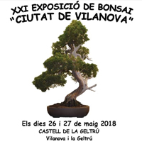 Exposició de Bonsais 'Ciutat de Vilanova'