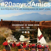 20 anys Amics dels Castells - Tortosa 2016 