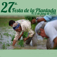 27a Festa de la Plantada - Amposta 2016
