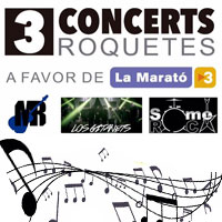 3 Concerts a Favor de La Marató TV3 - Roquetes 2016