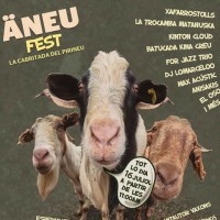 Äneu Fest, Esterri d'Àneu, Pirineus, Pallars, lleida, Surtdecasa Ponent, juliol, festival, música, en directe, concert