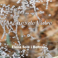 Llibre 'Ànimes de vidre' d'Elena Solé