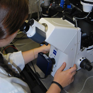 Hospital de Bellvitge - Barcelona