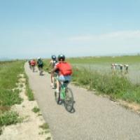 Bicicletes pel Delta de l'Ebre