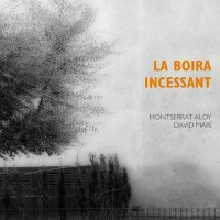 presentació, llibre, La boira incessant, Montserrat Aloy, fotografia, poesia, Davi Marí, abril, 2017, Tàrrega, Urgell, Surtdecasa Ponent
