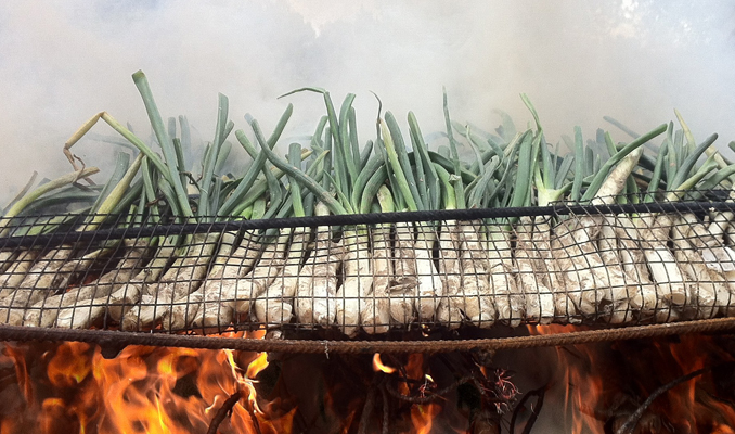 calçotada al centre de Catalunya