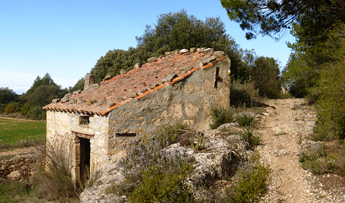 Mas Garrigues