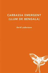 Carbassa emergent (llum de bengala), de David Ymbernon