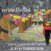 Carnaval - Santa Coloma de Farners 2018